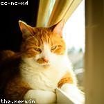 Arnold Hettinger Profile Picture