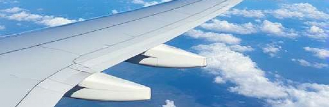 Globe flytrips Cover Image